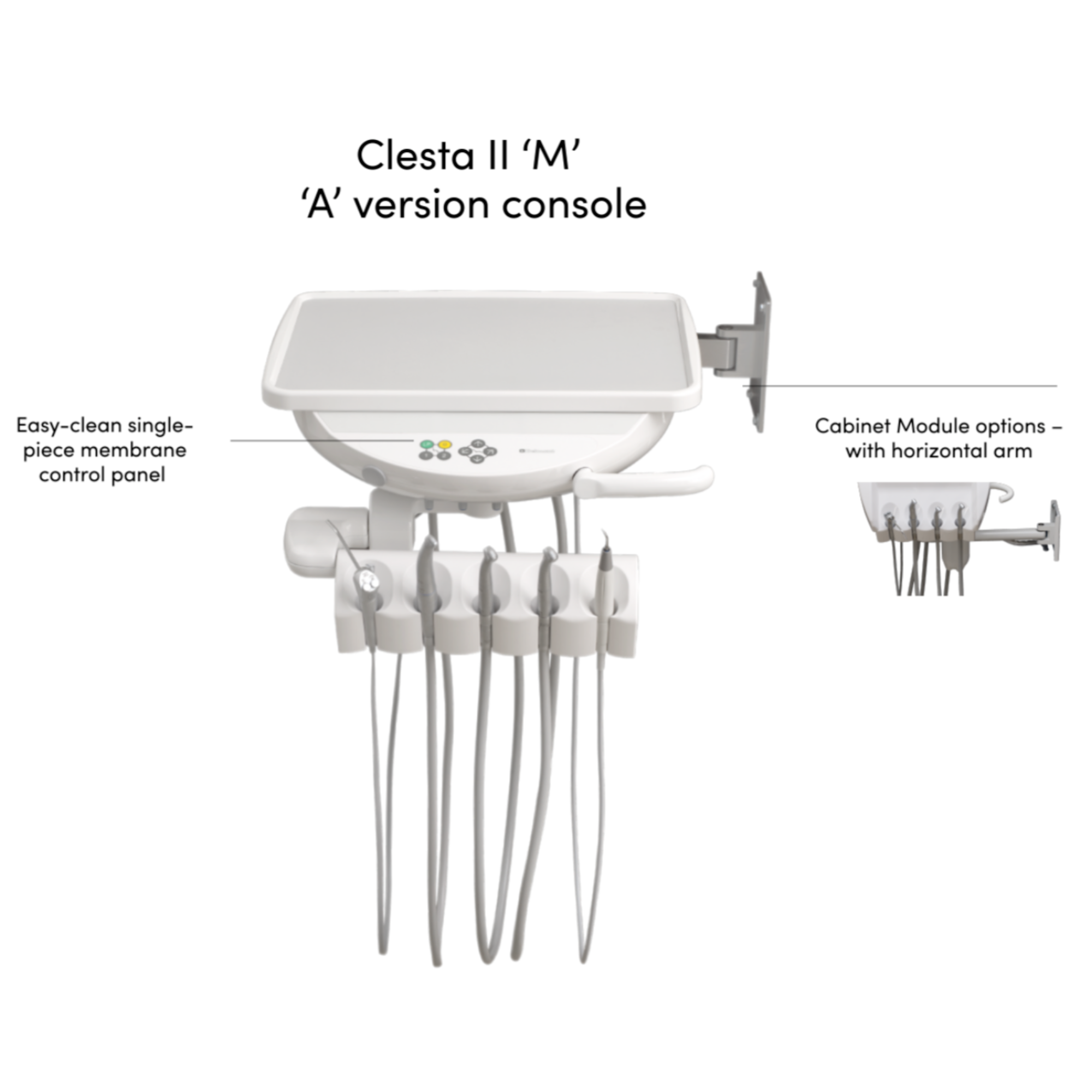 Clesta II Module Cabinet Mounted Delivery System